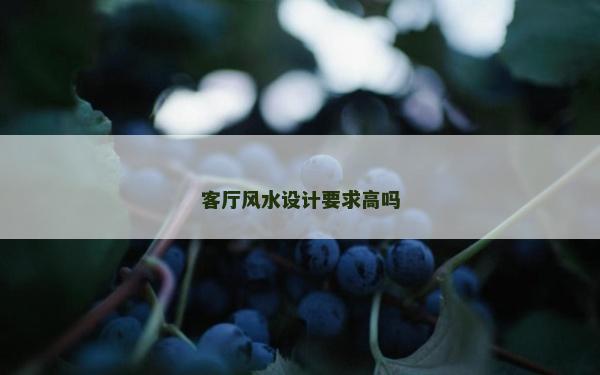 客廳風水設計要求高嗎