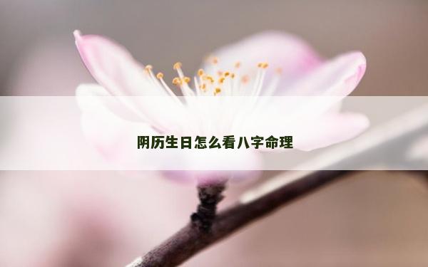 陰歷生日怎么看八字命理