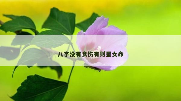 八字沒有食傷有財星女命