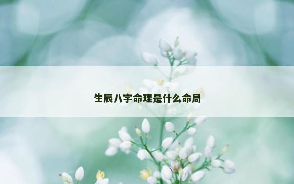 生辰八字命理是什么命局
