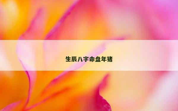 生辰八字命盤年豬