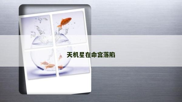 天機星在命宮落陷