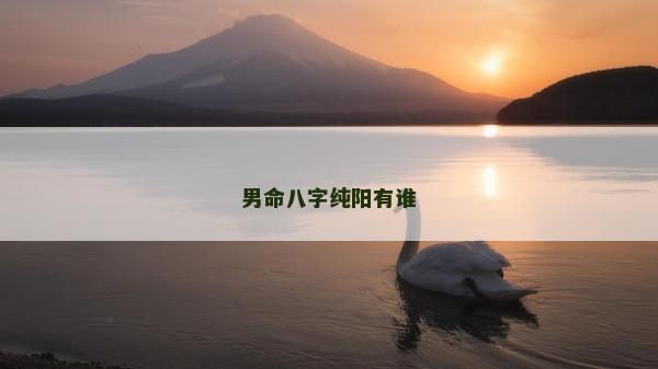 男命八字純陽有誰
