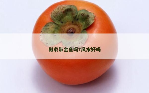搬家帶金魚嗎?風水好嗎