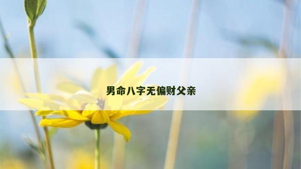男命八字無偏財父親