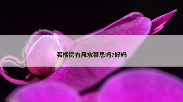 買樓房有風水禁忌嗎?好嗎