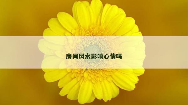房間風水影響心情嗎
