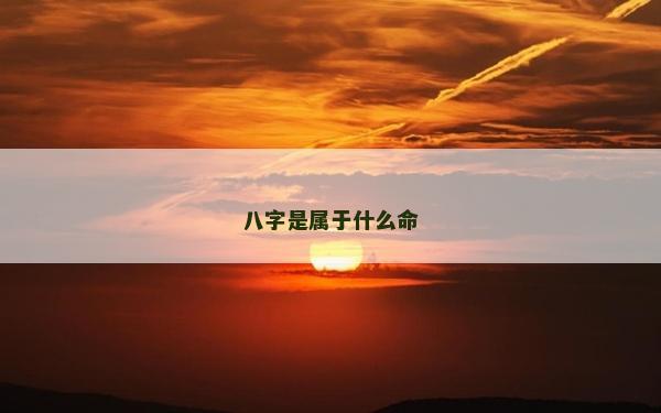 八字是屬于什么命
