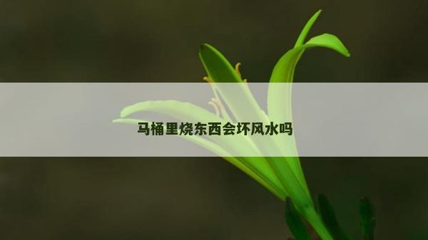 馬桶里燒東西會壞風水嗎
