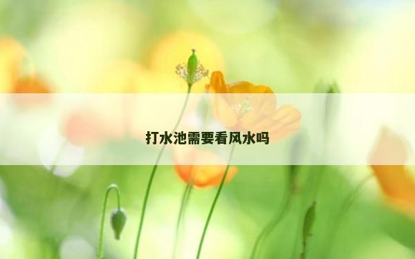 打水池需要看風(fēng)水嗎