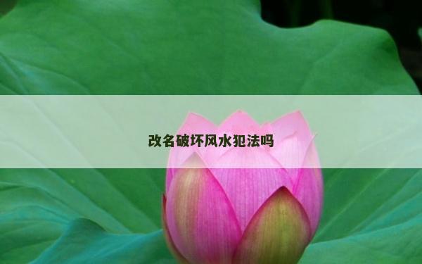 改名破壞風水犯法嗎