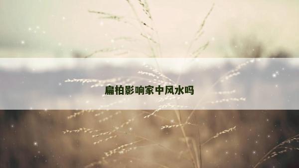 扁柏影響家中風(fēng)水嗎