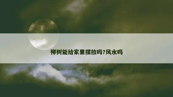 柳樹(shù)能給家里擺放嗎?風(fēng)水嗎
