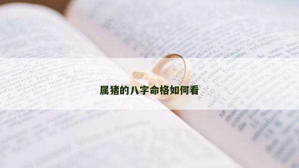 屬豬的八字命格如何看