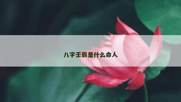 八字壬辰是什么命人