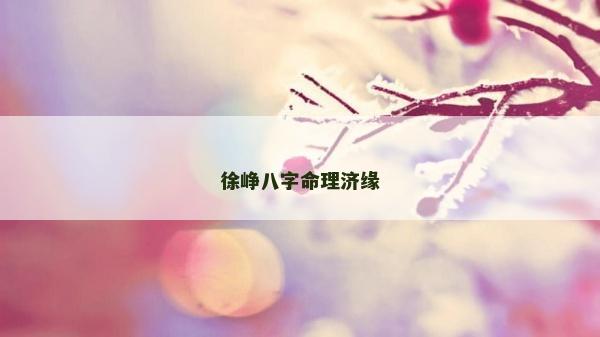 徐崢八字命理濟緣