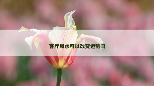 客廳風(fēng)水可以改變運勢嗎