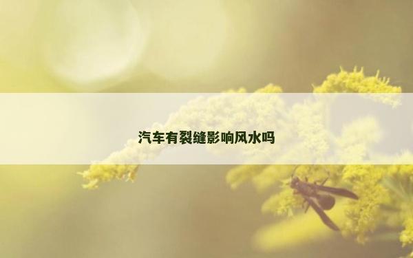 汽車有裂縫影響風(fēng)水嗎