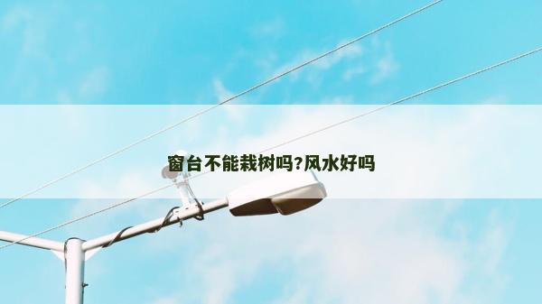 窗臺不能栽樹嗎?風水好嗎