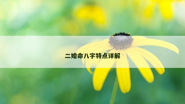 二婚命八字特點詳解