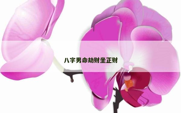 八字男命劫財坐正財