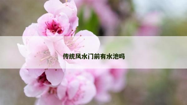 傳統風水門前有水池嗎