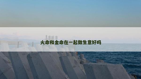 火命和金命在一起做生意好嗎