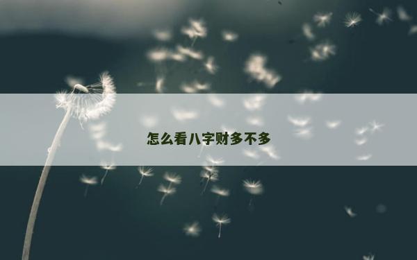 怎么看八字財多不多