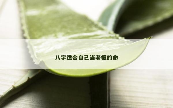 八字適合自己當老板的命