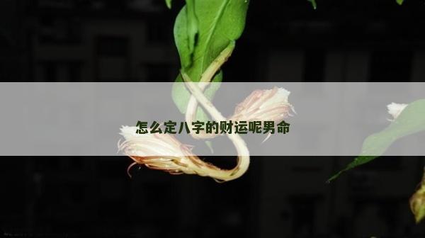 怎么定八字的財運呢男命