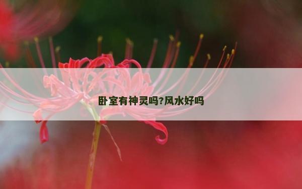 臥室有神靈嗎?風水好嗎