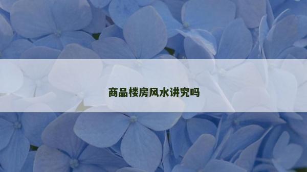 商品樓房風(fēng)水講究嗎