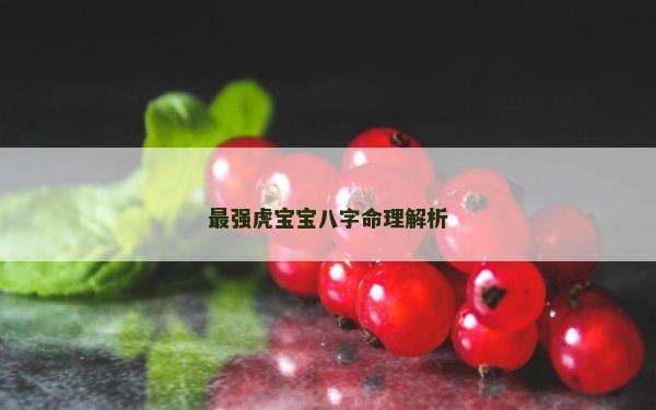 最強虎寶寶八字命理解析