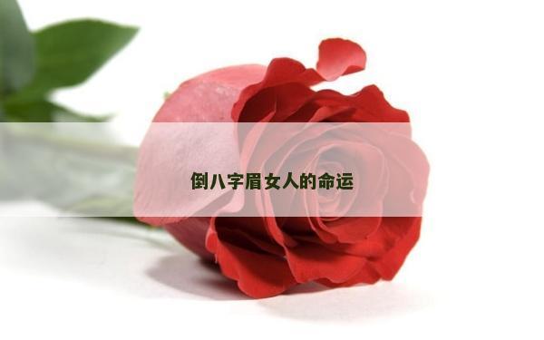 倒八字眉女人的命運