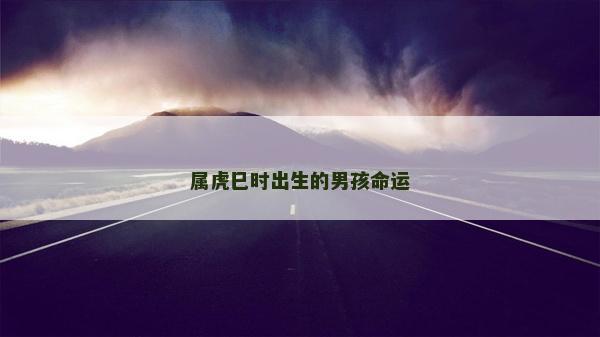屬虎巳時出生的男孩命運
