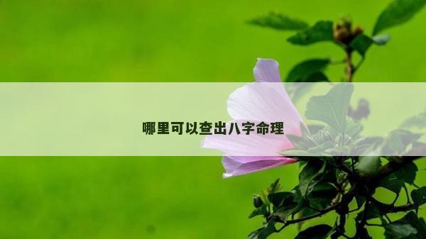 哪里可以查出八字命理
