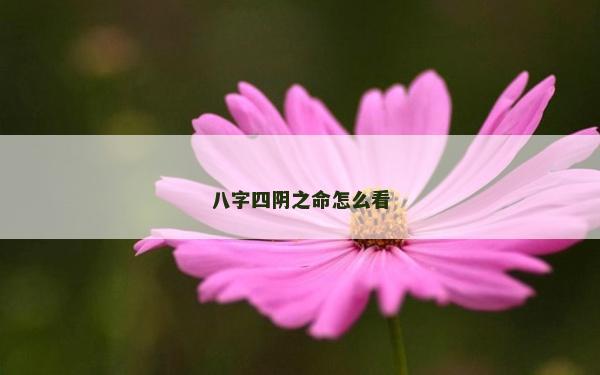 八字四陰之命怎么看 八字四陰之命怎么看