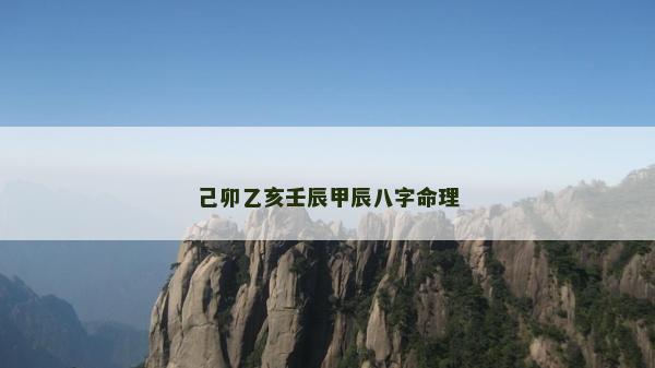 己卯乙亥壬辰甲辰八字命理