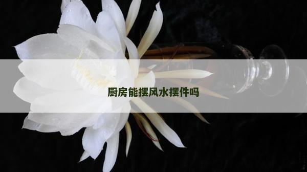 廚房能擺風水擺件嗎