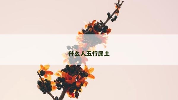 什么人五行屬土