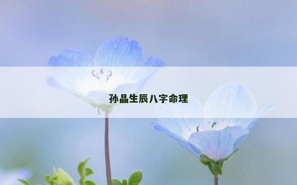 孫晶生辰八字命理
