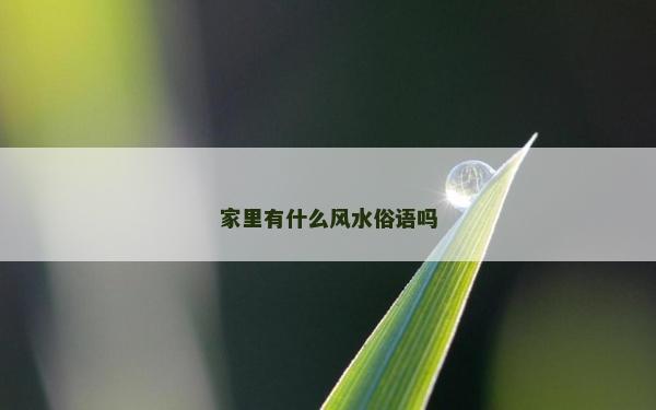 家里有什么風(fēng)水俗語嗎