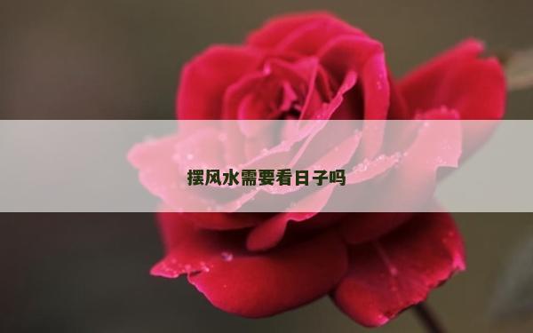 擺風(fēng)水需要看日子嗎