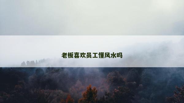 老板喜歡員工懂風(fēng)水嗎
