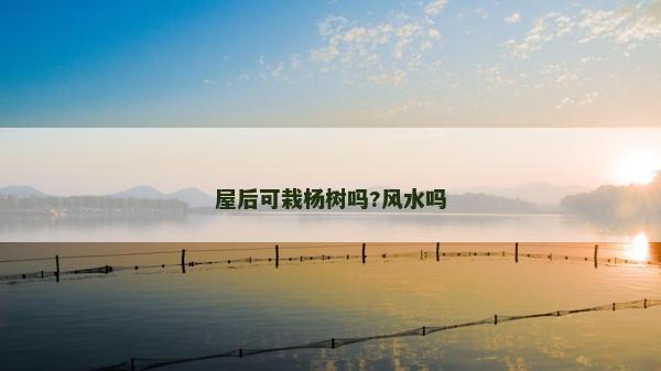 屋后可栽楊樹嗎?風水嗎