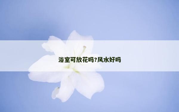 浴室可放花嗎?風水好嗎