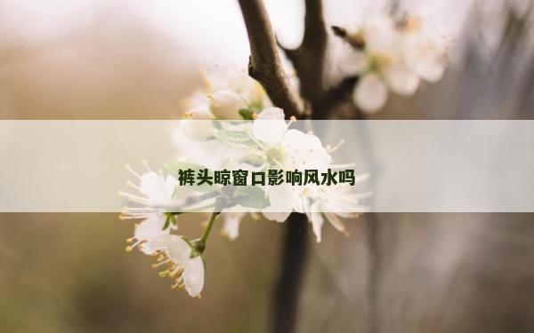 褲頭晾窗口影響風水嗎
