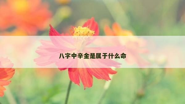 八字中辛金是屬于什么命