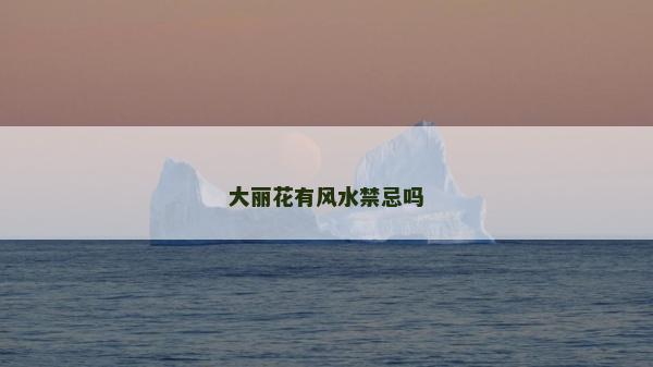 大麗花有風水禁忌嗎
