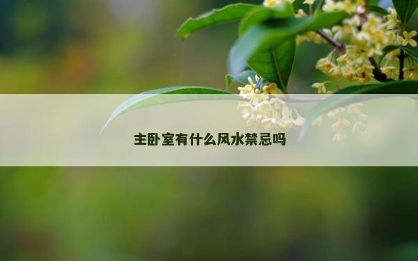 主臥室有什么風水禁忌嗎